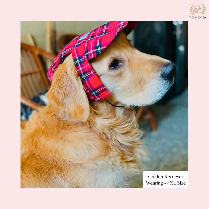 red check dog cap