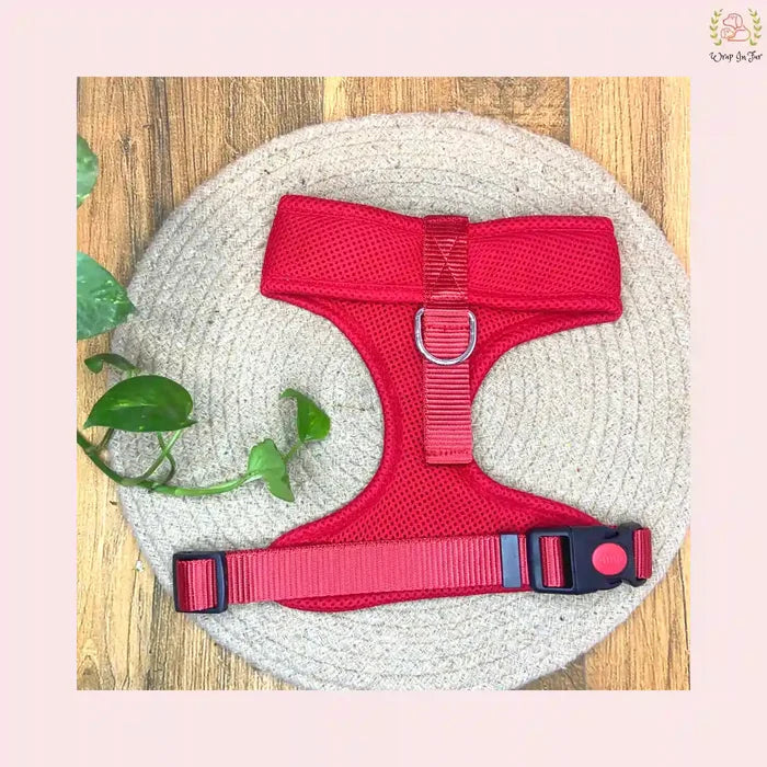 dog harness India