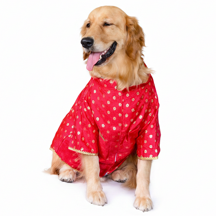 Red Dog Sherwani