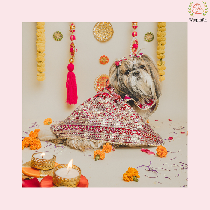 Red Embroidered Dog Bridal Dress - Traditional Lehenga Choli Set