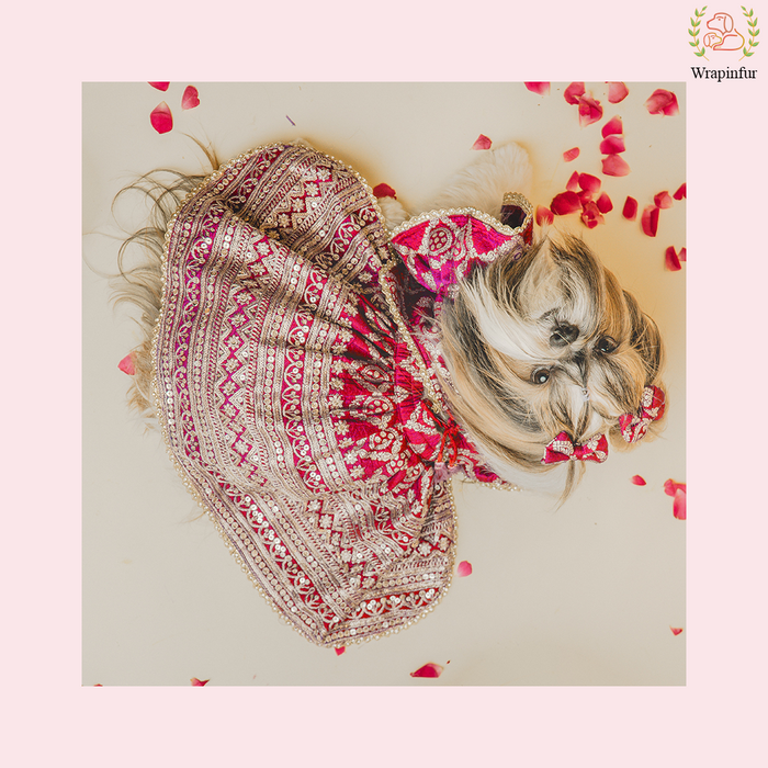 Red Embroidered Dog Bridal Dress - Traditional Lehenga Choli Set