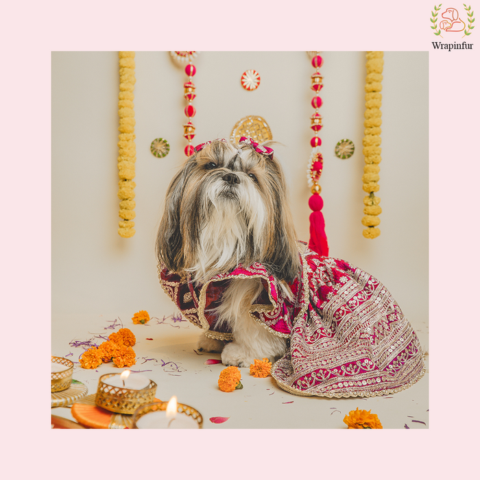 Red Embroidered Dog Bridal Dress - Traditional Lehenga Choli Set