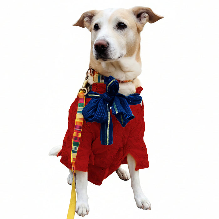 Red Embroidered Dog Kurta with Blue Dupatta