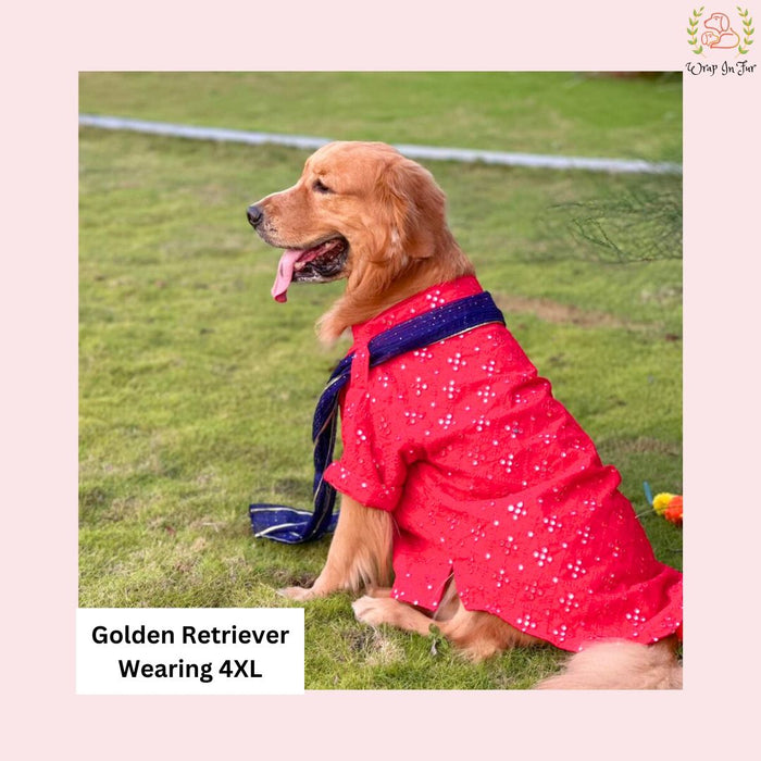 Red Embroidered Dog Kurta with Blue Dupatta - Premium Dog Ethnic Wear