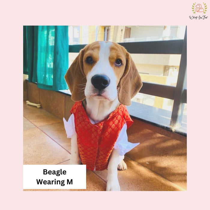 Red & Gold Brocade Dog Kurta Jacket Set - Premium Dog Ethnic Wear