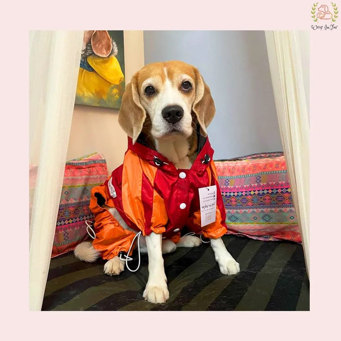 Red Orange Raincoat