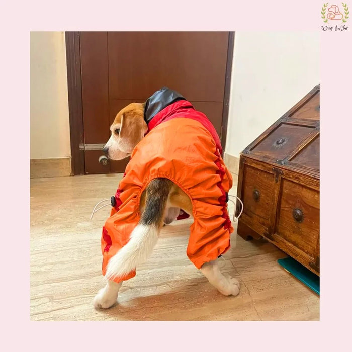 Red Orange Raincoat