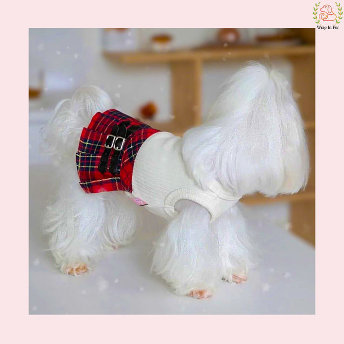 Red Plaid Dog Princess Dress - Preppy Schoolgirl Uniform Frock