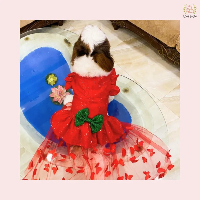 Red Ruffle Dog Gown – Luxury Dog Wedding Dress