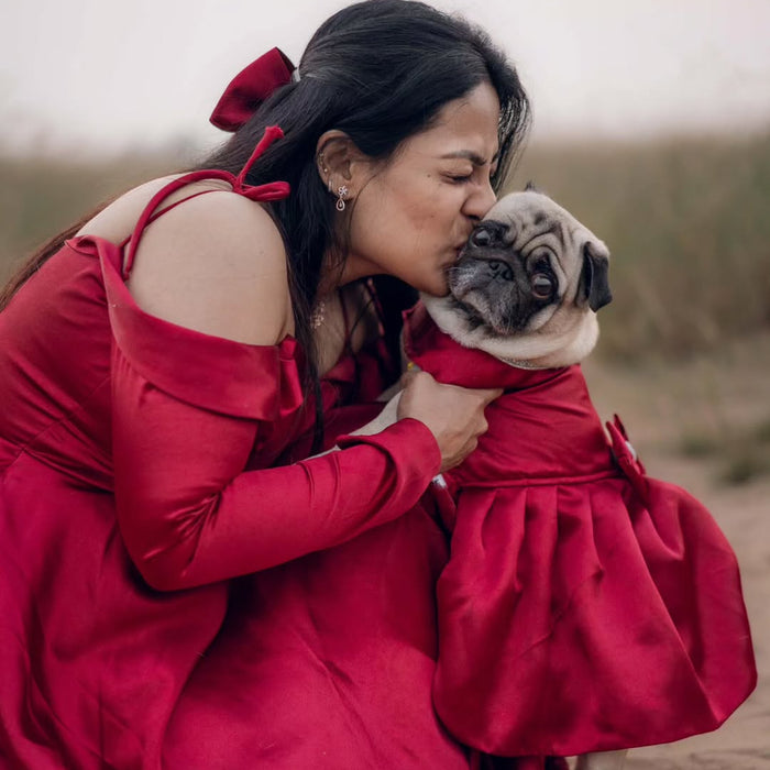 Red Satin Dog Frock