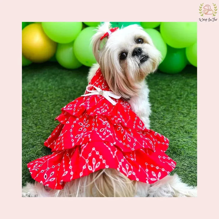 Red Tiered Ruffle Dog Princess Dress - Festive Wedding Party Dog Frock