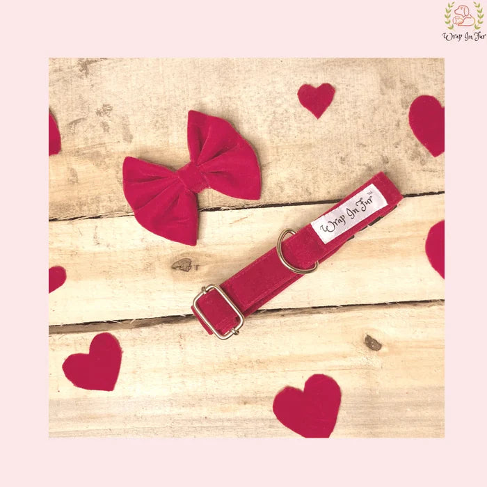 Red Velvet Dog Bow & Collar Set - Luxury Holiday Pet Accessory Kit