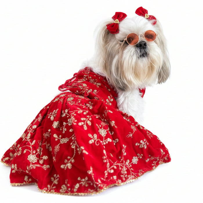 Red Velvet Dog Lehenga Choli – Luxury Dog Wedding Dress Outfit