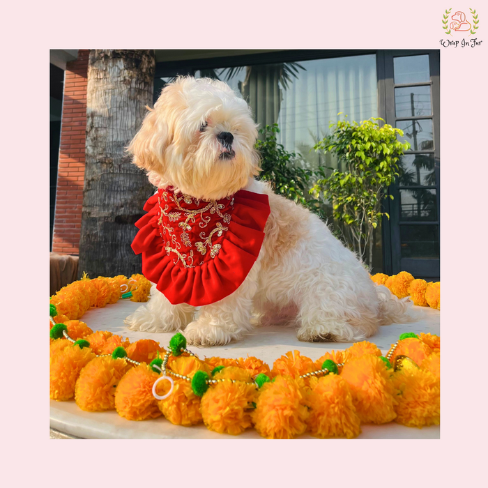 Red Velvet Festive Dog Bandana