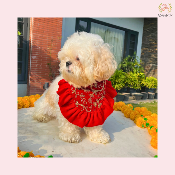Red Velvet Festive Dog Bandana