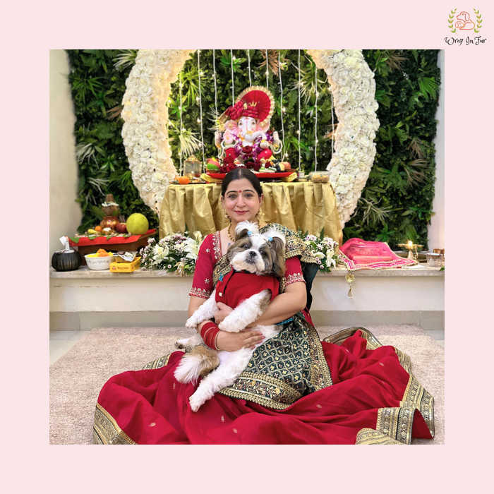 Red Velvet Maharaja Jacket Dog Sherwani