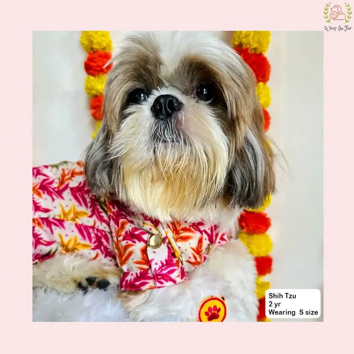 Rose Gold Botanical Dog Kurta - Premium Indian Dog Ethnic Wear Dress