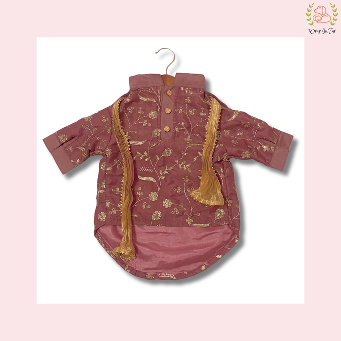 Rosy Brown Embroidered Dog Kurta - Royal Indian Dog Ethnic Wear Dress