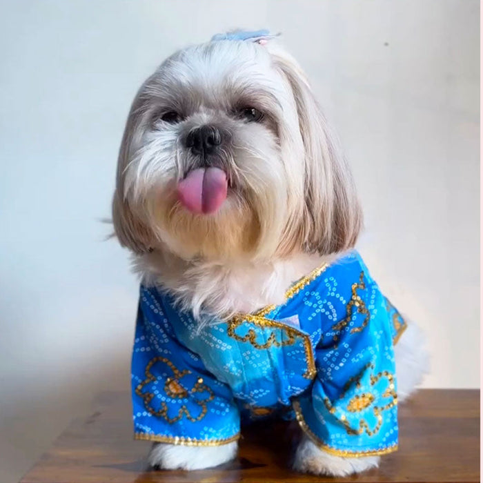 Royal Blue Bandhani Angarkha Dog Kurta - Premium Indian Dog Ethnic Wear