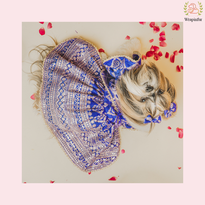 Royal Blue Dog Lehenga Choli Dress - Luxury Wedding Outfit