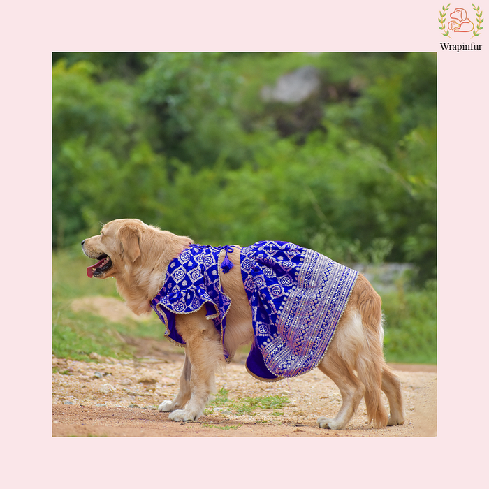 Royal Blue Dog Lehenga Choli Dress - Luxury Wedding Outfit