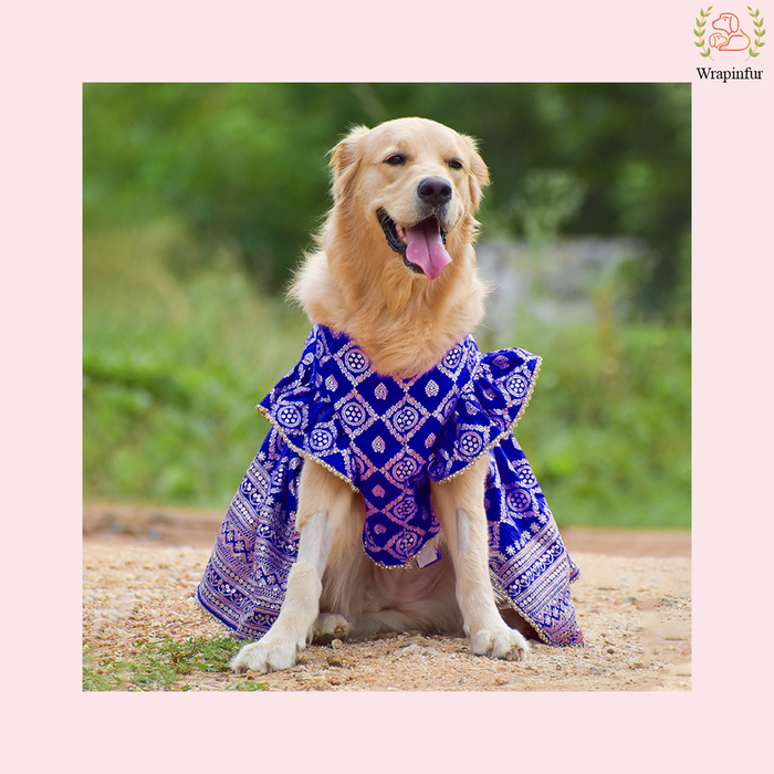 Royal Blue Dog Lehenga Choli Dress - Luxury Wedding Outfit