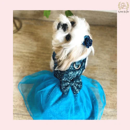 Royal Blue Dog Wedding Dress – Sparkle Bridal Gown for Dogs