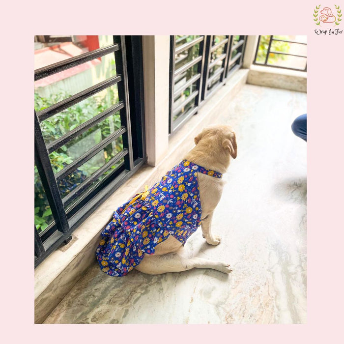 Royal Blue Floral Dog Princess Dress - Yellow Cold Shoulder Dog Frock