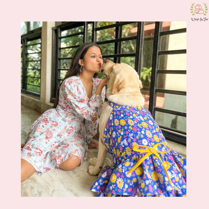 Royal Blue Floral Dog Princess Dress - Yellow Cold Shoulder Dog Frock