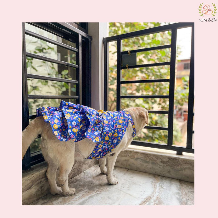 Royal Blue Floral Dog Princess Dress - Yellow Cold Shoulder Dog Frock