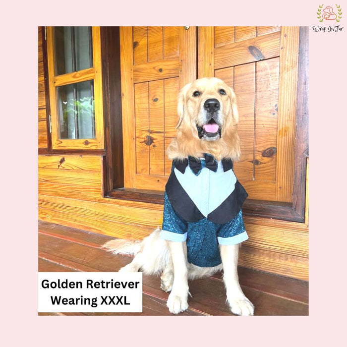 Royal Blue Sequin Dog Tuxedo Jacket - Glamorous Wedding Suit