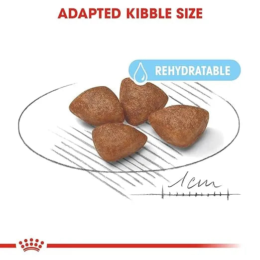 Royal Canin Mini Starter Dog Dry Food for Mother & Puppies