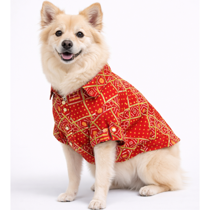 Dog Kurta Shirt
