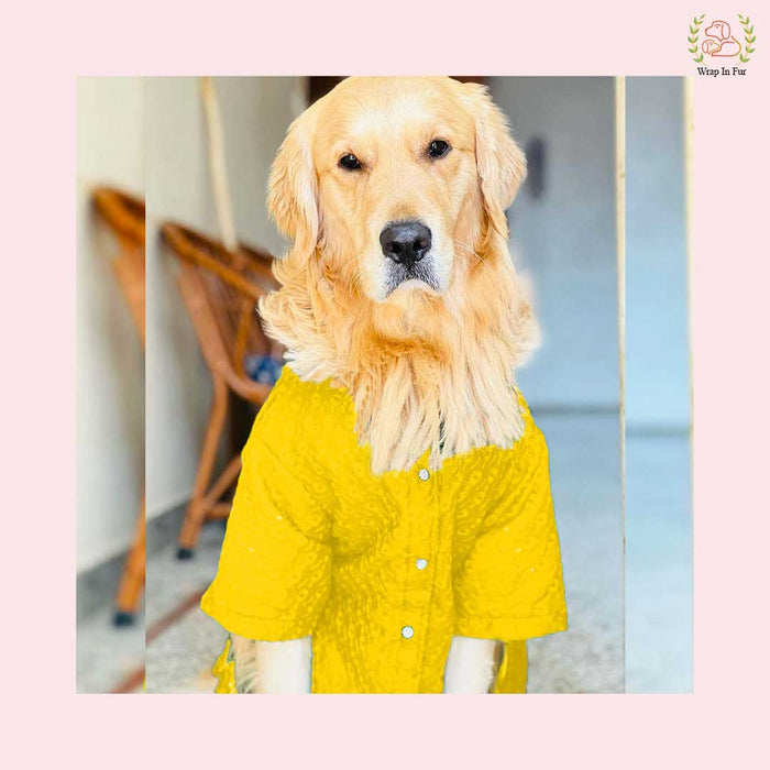 Dog Kurta Shirt