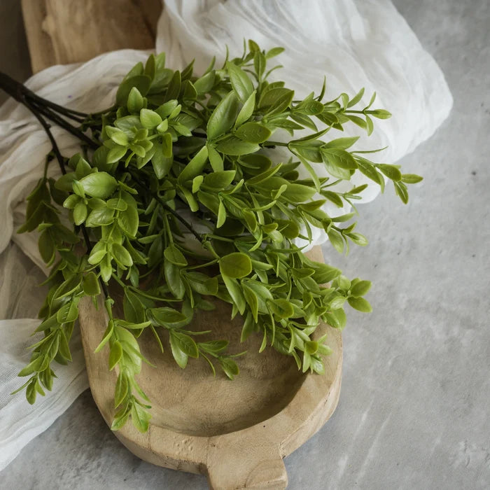 Ruscus Leaf Bush 14"