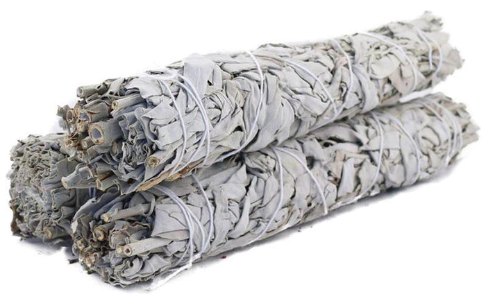 Sage, White 8-9in. LARGE Bundl