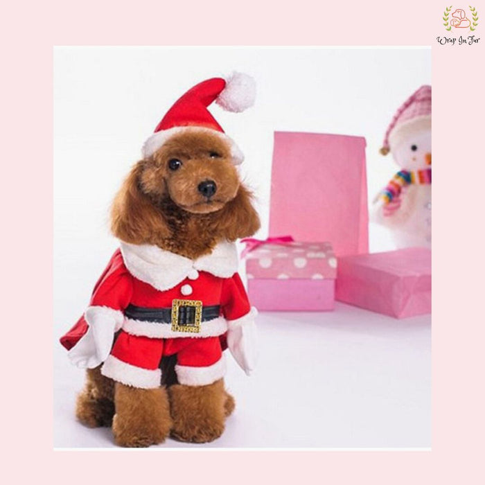 Santa Dog Costume – Cute & Festive Christmas Outfit for dogs