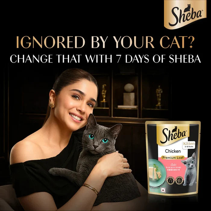 Sheba Chicken Premium Loaf Wet Kitten Food (2–12 Months) | 70g Pouch