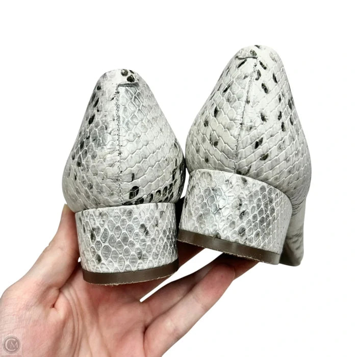 Shoes Heels Block By Wirth In Snakeskin Print, Size: 5.5