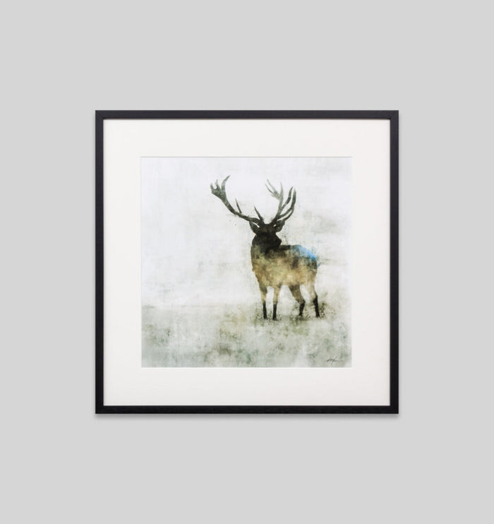 Silent Stag
