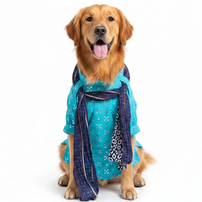 Sky Blue Mirror Work Dog Kurta with Navy Dupatta - Indian Dog Ethnic Wear