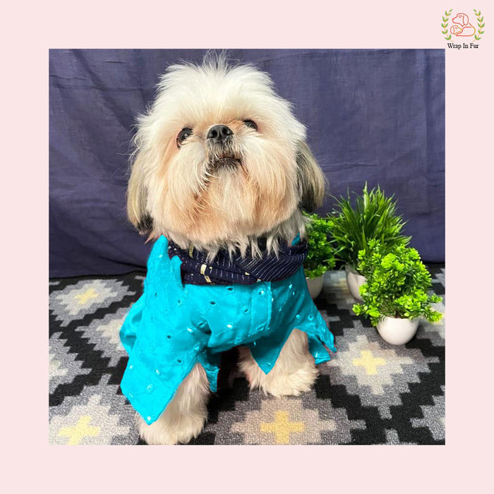 Sky Blue Mirror Work Dog Kurta with Navy Dupatta - Indian Dog Ethnic Wear