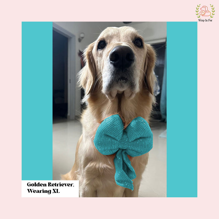 Sky Blue Sequin Dog Bow - Shimmering Icy Holiday Pet Hair Bow Accessory