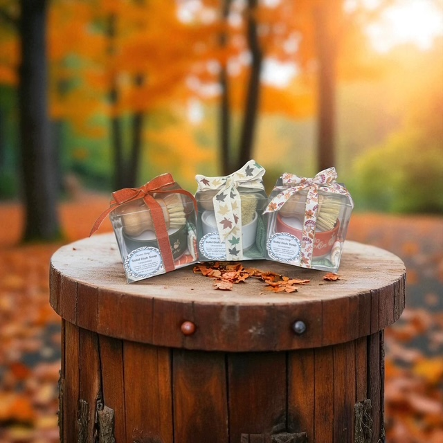 Solid Dish Soap Set – Fall Collection - Serene Soap®
