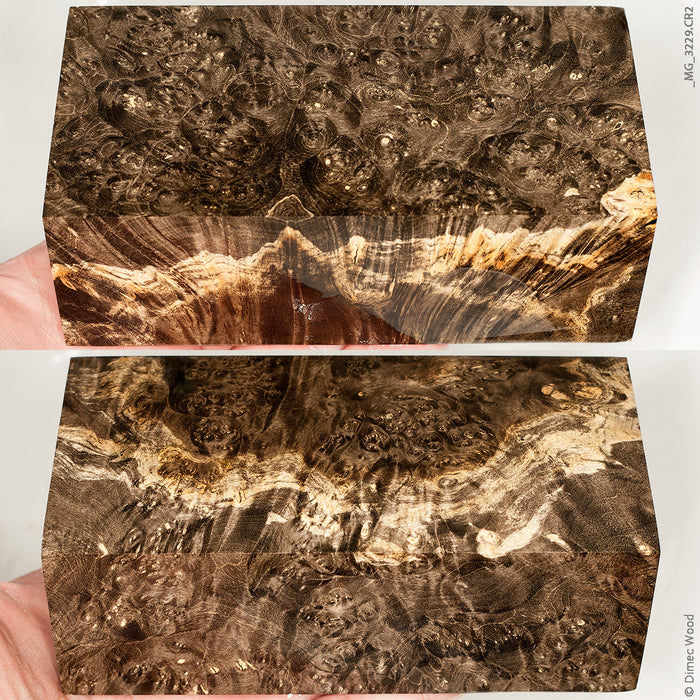 Stabilized wood box elder burl block
