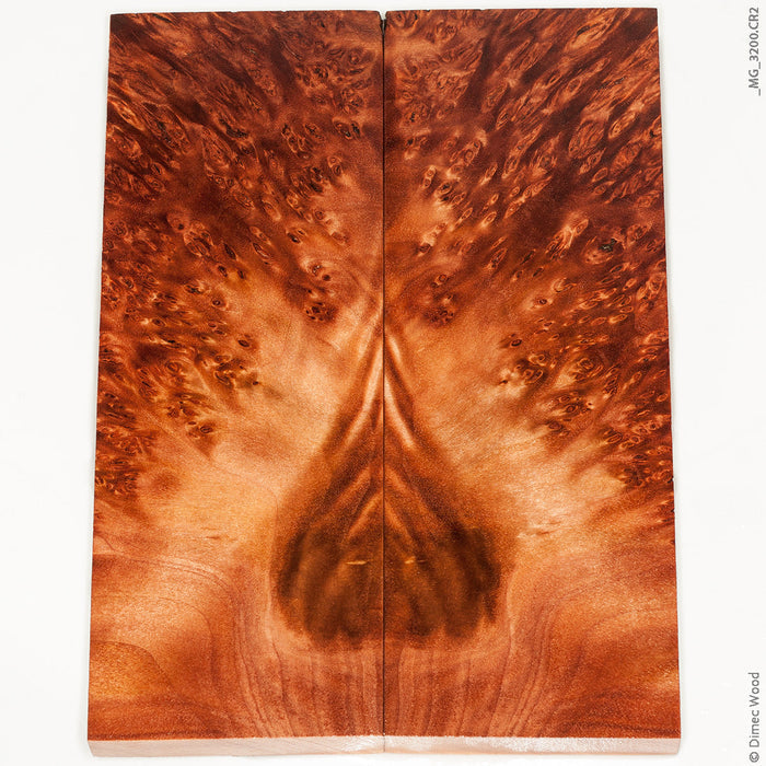 Stabilized wood willow burl panels
