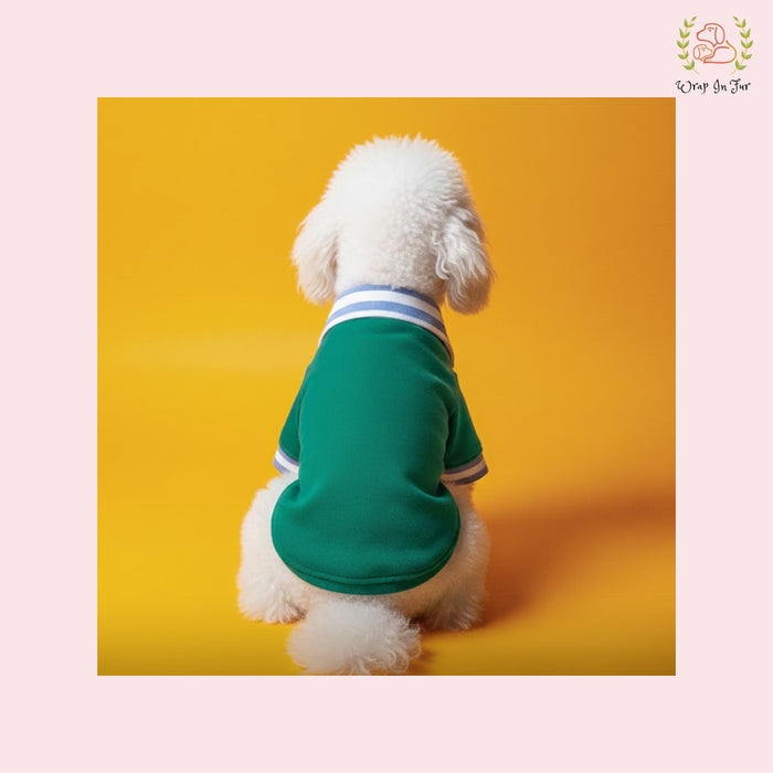 Stylish Green Dog Polo Shirt: Cozy Winter Wear for All Breeds