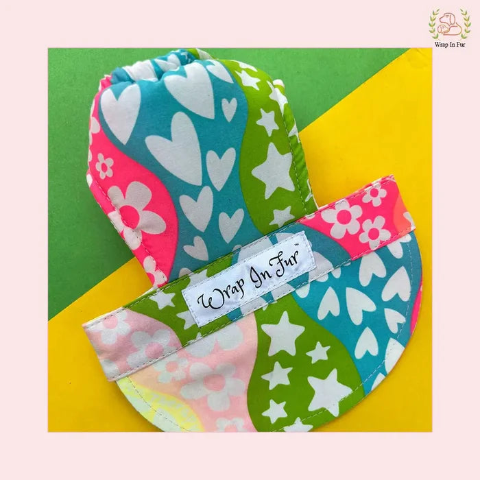 beautiful sunshine Dog Cap