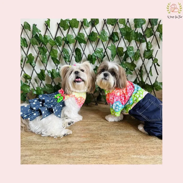Rainbow Top Tiered Dog Princess Dress - Casual Summer Party Frock