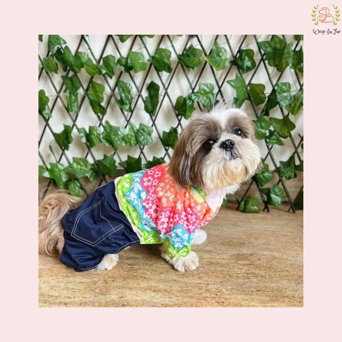 Sunshine Dog Jumpsuit